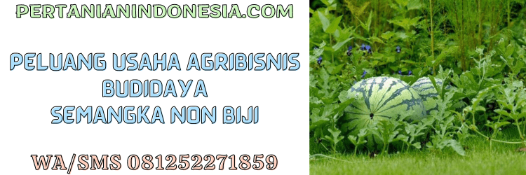 peluang,usaha,bisnis,agrobisnis,agribisnis,budidaya,pertanian indonesia
